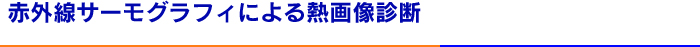 赤外線サーモグラフィによる熱画像診断